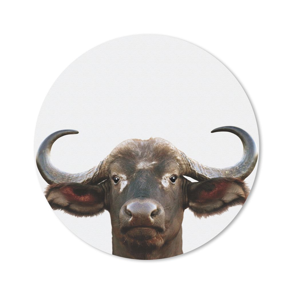 MuchoWow Mauspad Mousepad Büffel - Wasserbüffel - Kopf - Kuh - Hörner - Jungen - Mädchen 30x30 cm - Mousepads - Maus Mat - Pad - Mausunterlag...