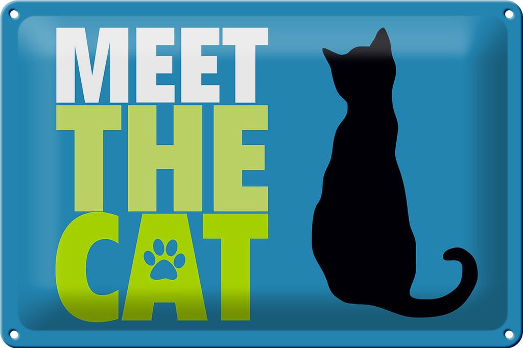 Blechschild Spruch 30x20cm meet the cat Katze