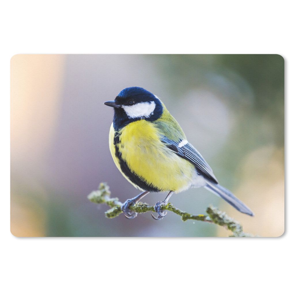 MuchoWow Mauspad Mousepad Kohlmeise - Vogel - Zweig 27x18 cm - Mousepads - Maus Mat - Pad - Mausunterlage - Büroartikel - Desk Matten