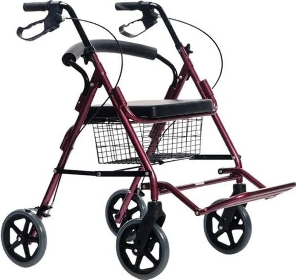 Déambulateur 4 Roues Tout-Terrain avec Siège Rembourré et Dossier de Appui