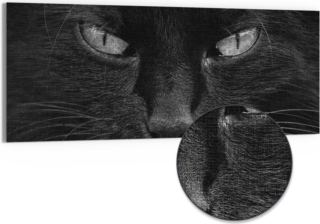 DEQORI Hybrid Leinwand Bild 150x60 cm 'Mystische Katzenaugen' Wandbild Glas flach modern