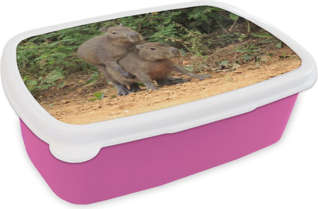 KitchenYeah Lunchbox Brotzeit Brotdose 17x11 cm Zwei Capybara-Junge spielen miteinander Kinder Brotzeitdose - Lunchpaket - Brotkasten - Sandwich...