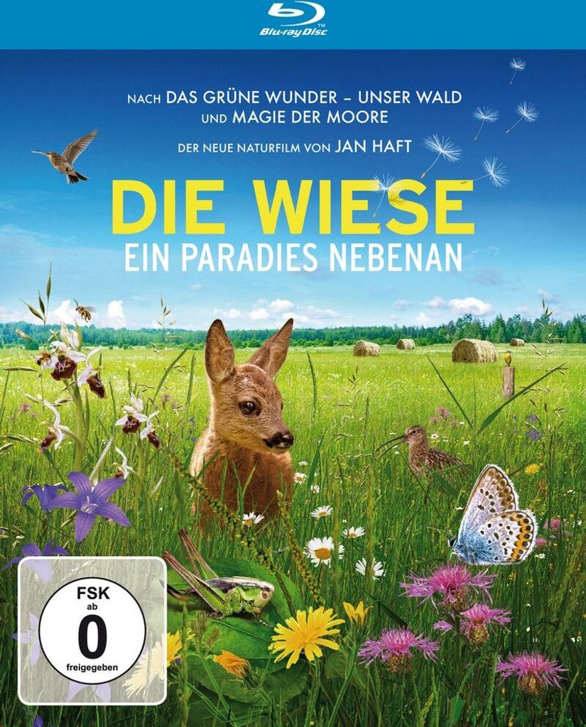 Die Wiese - Ein Paradies nebenan