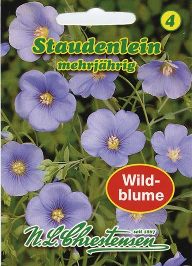 Staudenlein | Blumensamen von N.L. Chrestensen