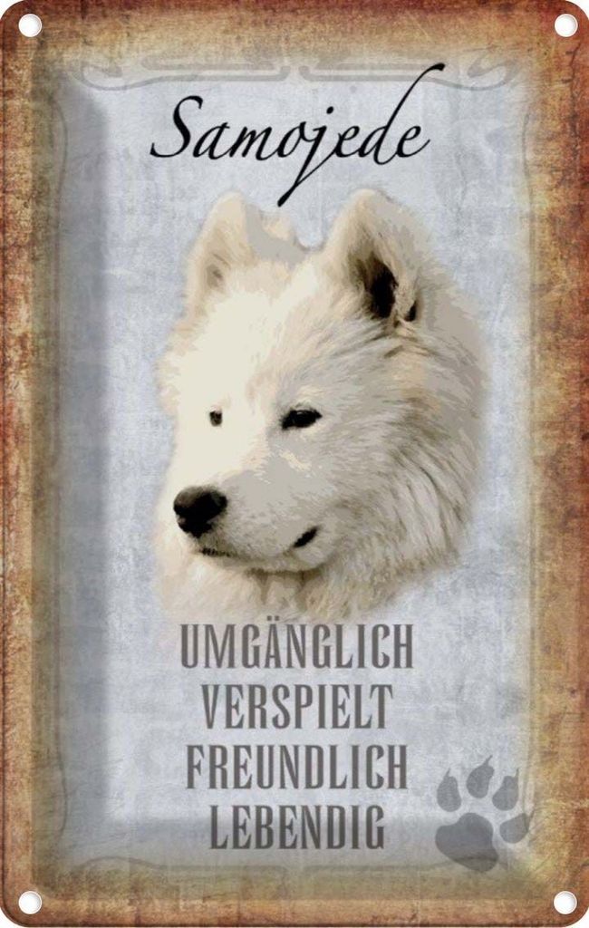 vianmo Blechschild 30x20 cm Samojede Hund Tier Haustier