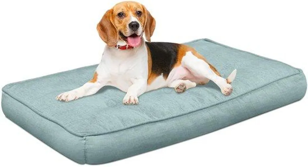Lit chien orthopédique contre douleurs articulaires 90x76 cm vert lavable