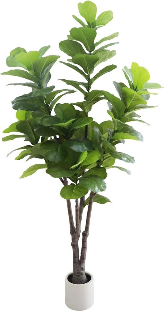Künstliche Geigenfeige (Ficus lyrata) - Bonsai im Topf - PE-Blätter - Größe S - Für den Außenbereich - Grüne Blätter - Milchweiß