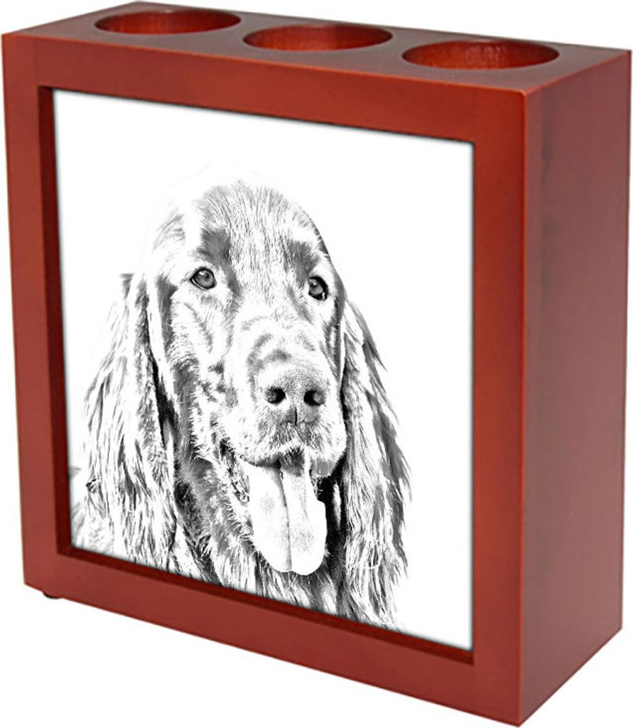 English Setter, Englischer Setter I - Stifthalter mit Hund, Schreibtischorganizer mit Aufdruck, personalisierte Schreibtischdekoration der Marke Ar...