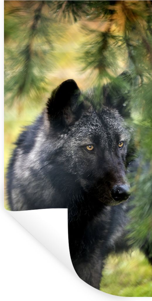 MuchoWow Wandtattoo Wandsticker Wandaufkleber Wolf - Makro - Blätter 60x120 cm Selbstklebend und Repositionierbar - Selbstklebend - Fototapeten