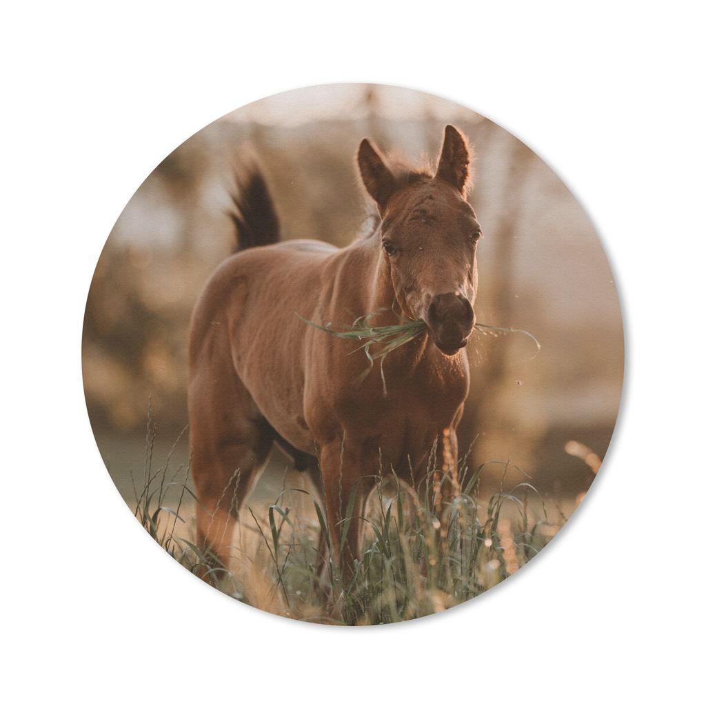 MuchoWow Mauspad Mousepad Pferd - Sonne - Gras 30x30 cm - Mousepads - Maus Mat - Pad - Mausunterlage - Tischunterlage - Schreibtischmatten
