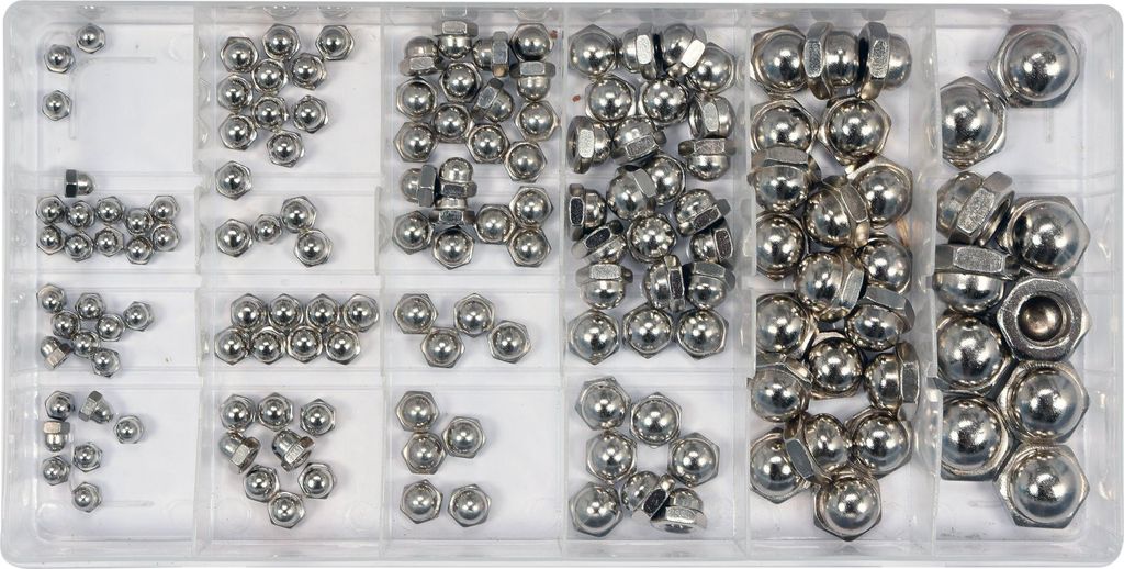 Dadi chiusi M3, M4, M5, M6, M8 e M10, 150 pezzi Immagine del prodotto 