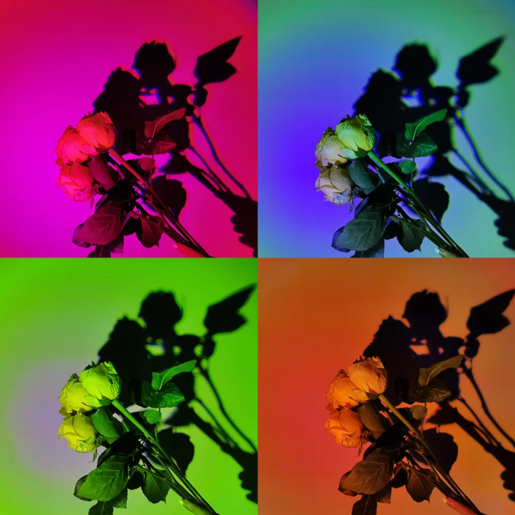 INF Lampe de Table Sunset Projection 16 Couleurs avec Télécommande - Noir - 3