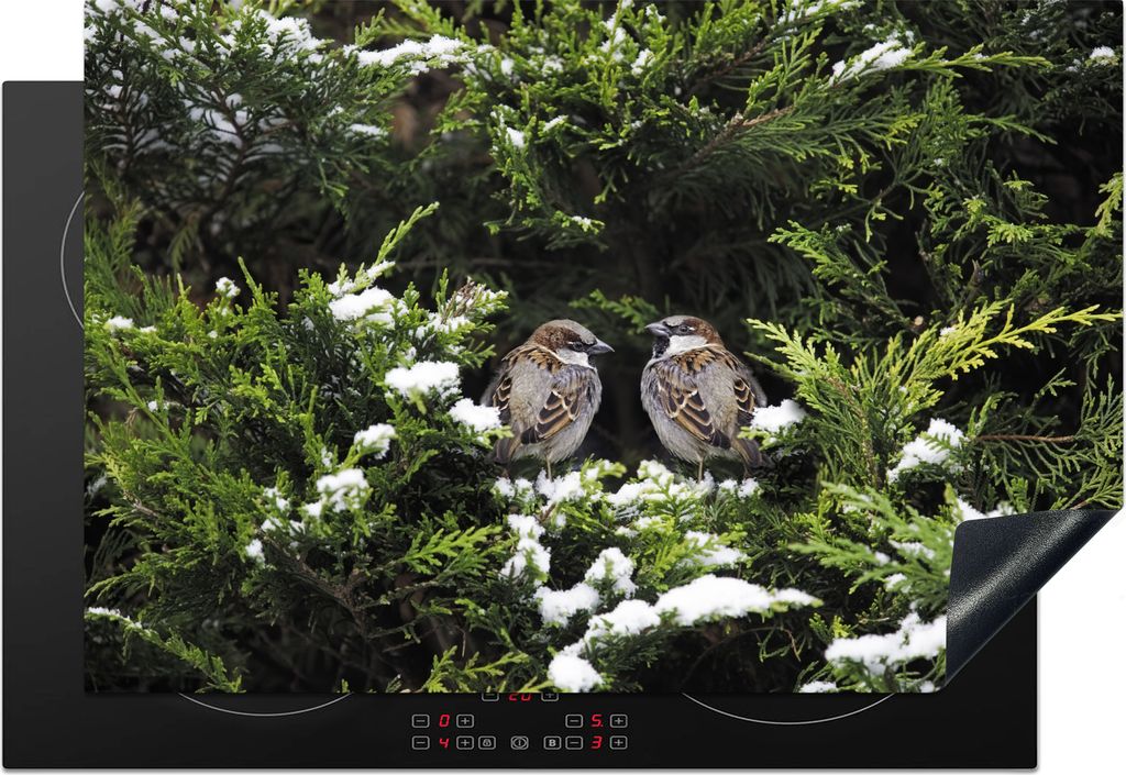 KitchenYeah Herdabdeckplatte Zwei Ringelspatzen im Wald , 78x52cm, Küche Deko, Glaskeramikfeld Herdabdeckung, Abdeckplatte fùr Kochfeld