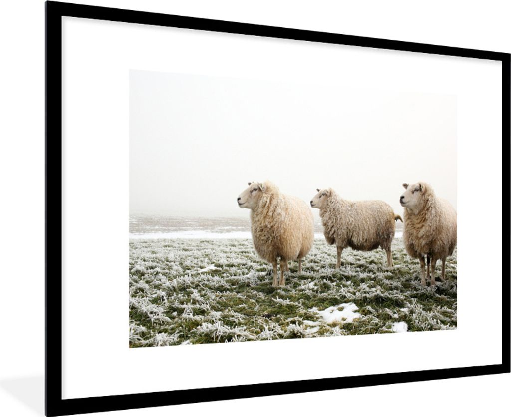 MuchoWow Gerahmtes Poster Schafe - Nebel - Winter 90x60 cm - Poster mit Schwarzem Bilderrahmen Wandposter Rahmen Foto Bilder - Wanddekoration - F...