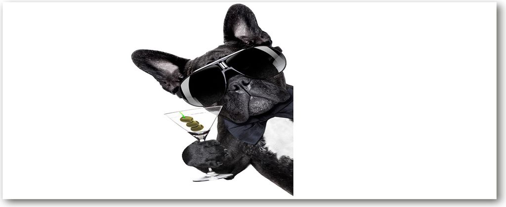 Tulup Leinwandbild - 125x50 cm - Wandkunst - Drucke auf Leinwand - Leinwanddruck - Tiere - Schwarz - Hund mit Martini