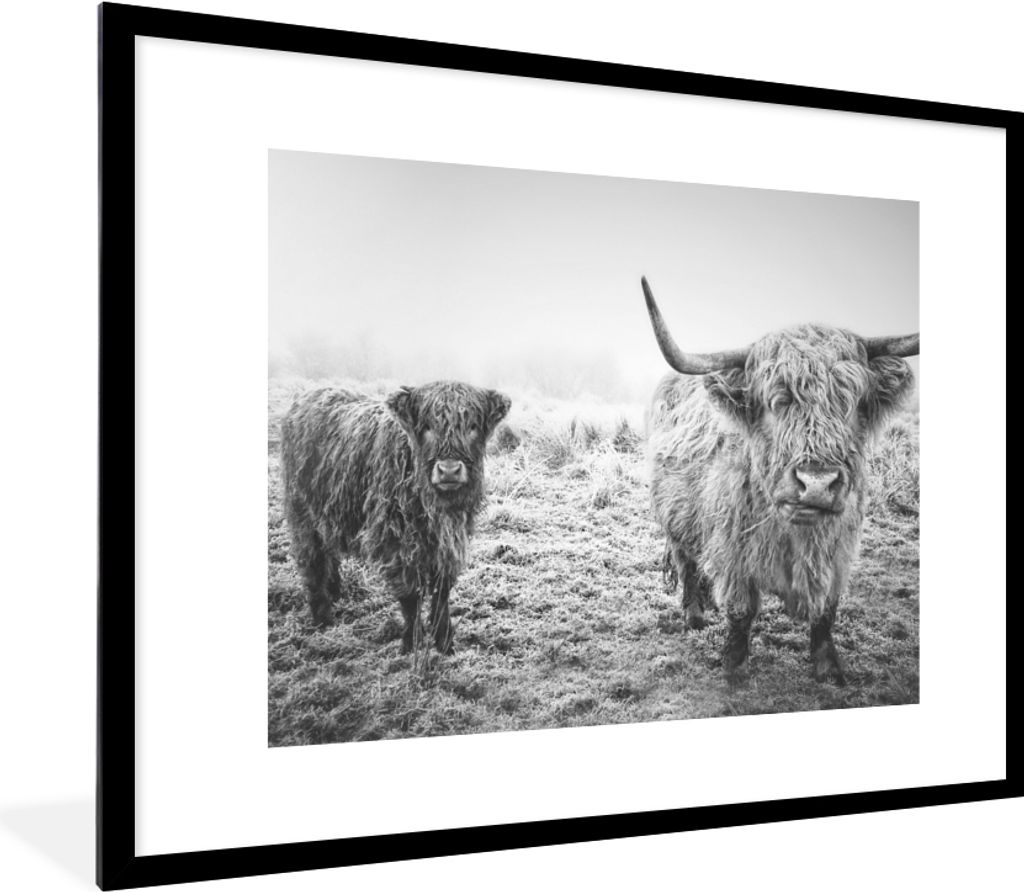 MuchoWow Gerahmtes Poster Schottische Hochlandbewohner - Licht - Himmel - Natur 80x60 cm - Poster mit Schwarzem Bilderrahmen Wandposter Rahmen Fo...