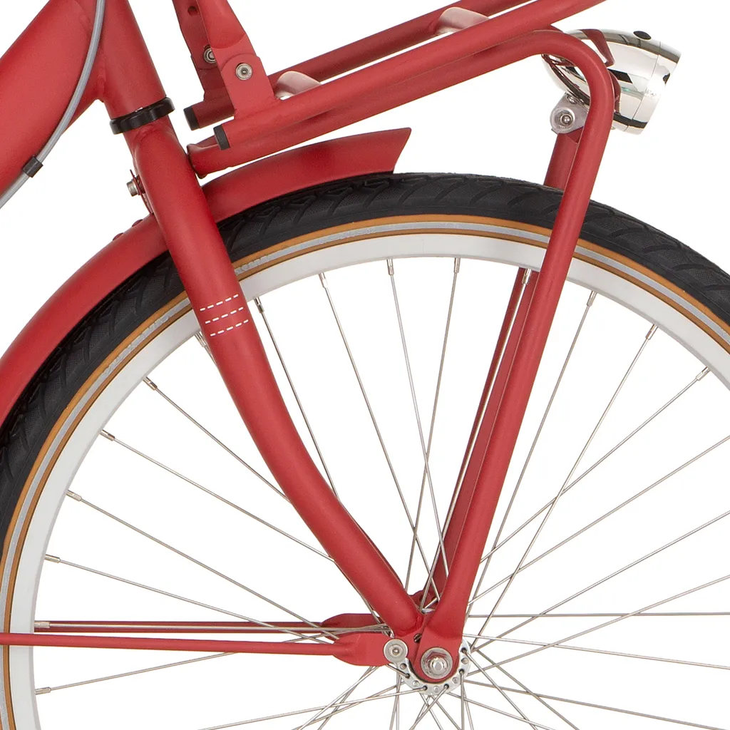 Porte-bagages avant Cortina Basic Part 24 : stabilité et charge vélo