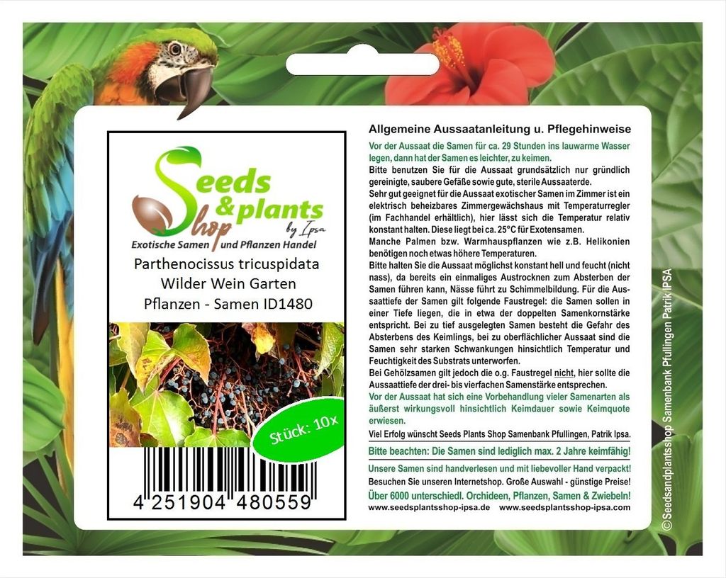 10x Parthenocissus tricuspidata Wilder Wein Garten Pflanzen - Samen ID1480