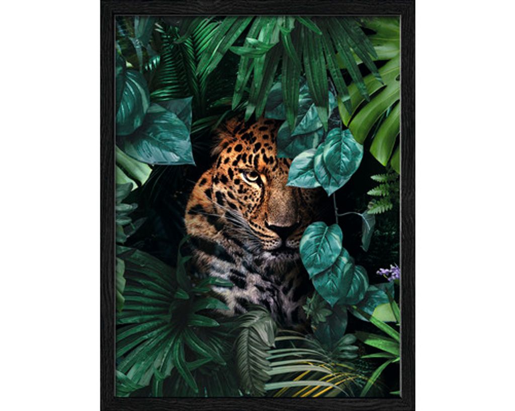 Gerahmtes Bild Jaguar in the jungle 33x43 cm