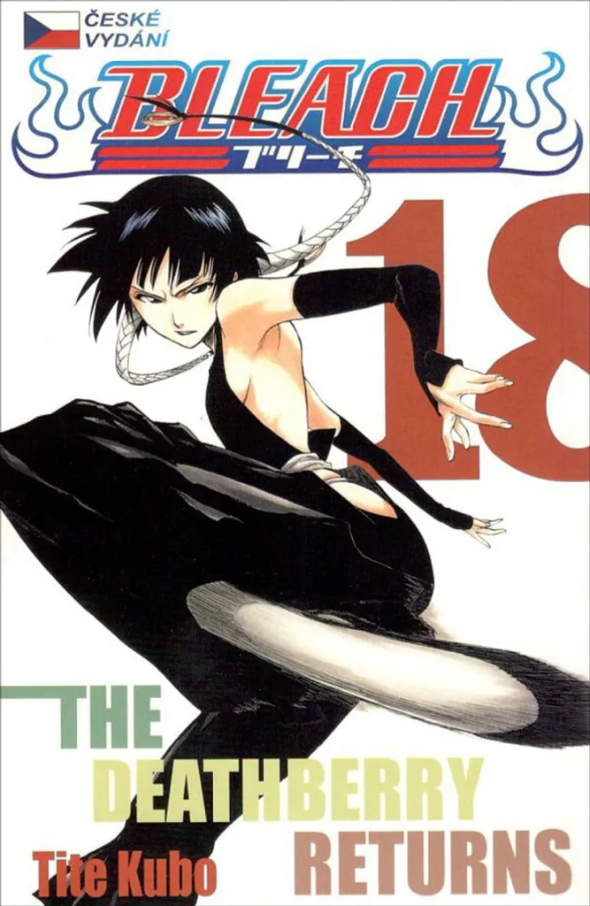 Bleach Vol 18 The Deathberry Returns Suite de l'Histoire Sans Manquer un Tome