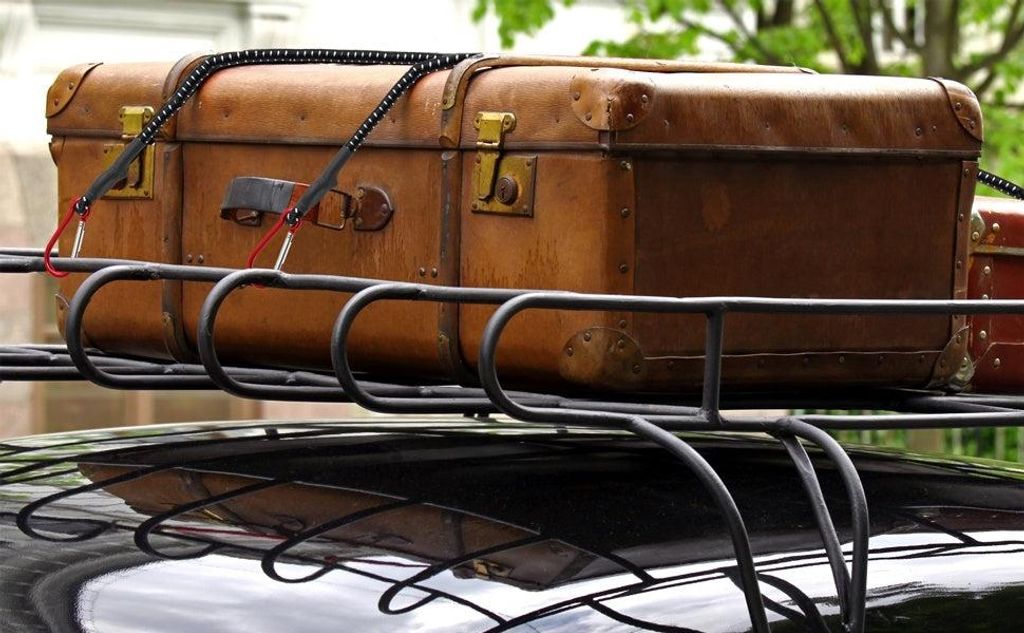 Bungee Cord with Carabiner Hooks, 80cm x 10mm, 2-Pack