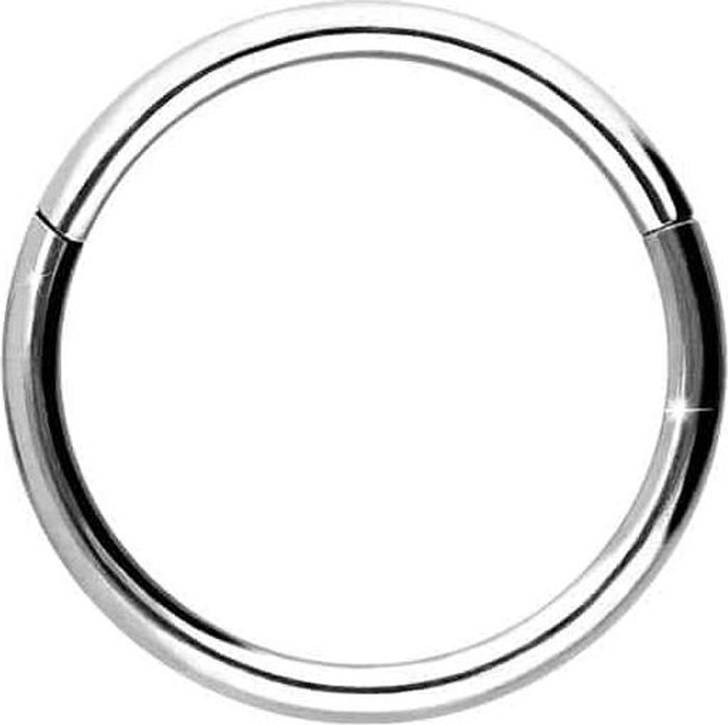 Ohrpiercing, Nasenpiercing, Septum Piercing Titan Segmentring Clicker WeißGold Innendurchmesser: 8mm + Stabstärke: 0,8mm