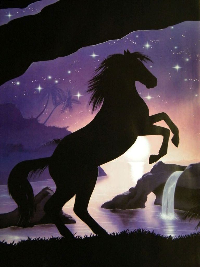 Schwarzlicht Poster | Black Beauty | 64x90cm | ungerahmt | Produktbild 