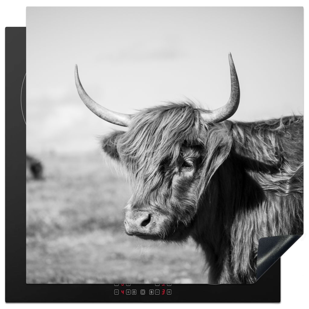 KitchenYeah Herdabdeckplatte Schottischer Highlander - Tiere - Schwarz - Weiß , 78x78cm, Küche Deko, Glaskeramikkochfeld Herdabdeckung, Abdeckp...