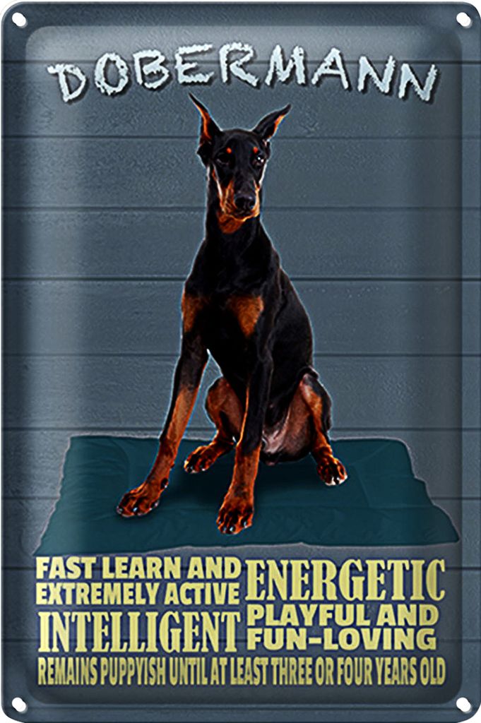 Blechschild Spruch 18x12cm Dobermann Hund fast learn and