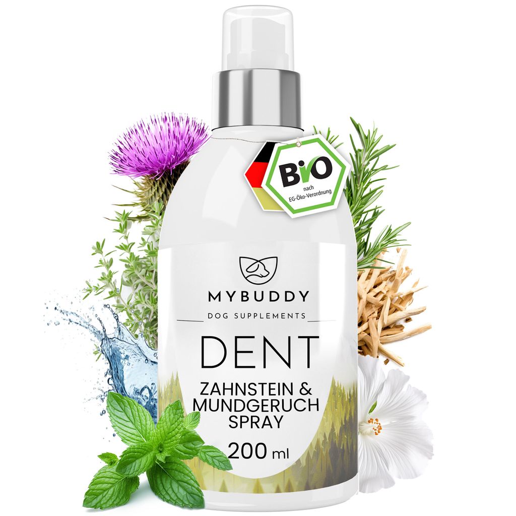 MYBUDDY DENT Dentalspray für Hunde & Katzen Zahnpflege I 100% natürliches -Zahnpflegespray vorbeugend & effektiv gegen Zahnstein & Mundgeruch