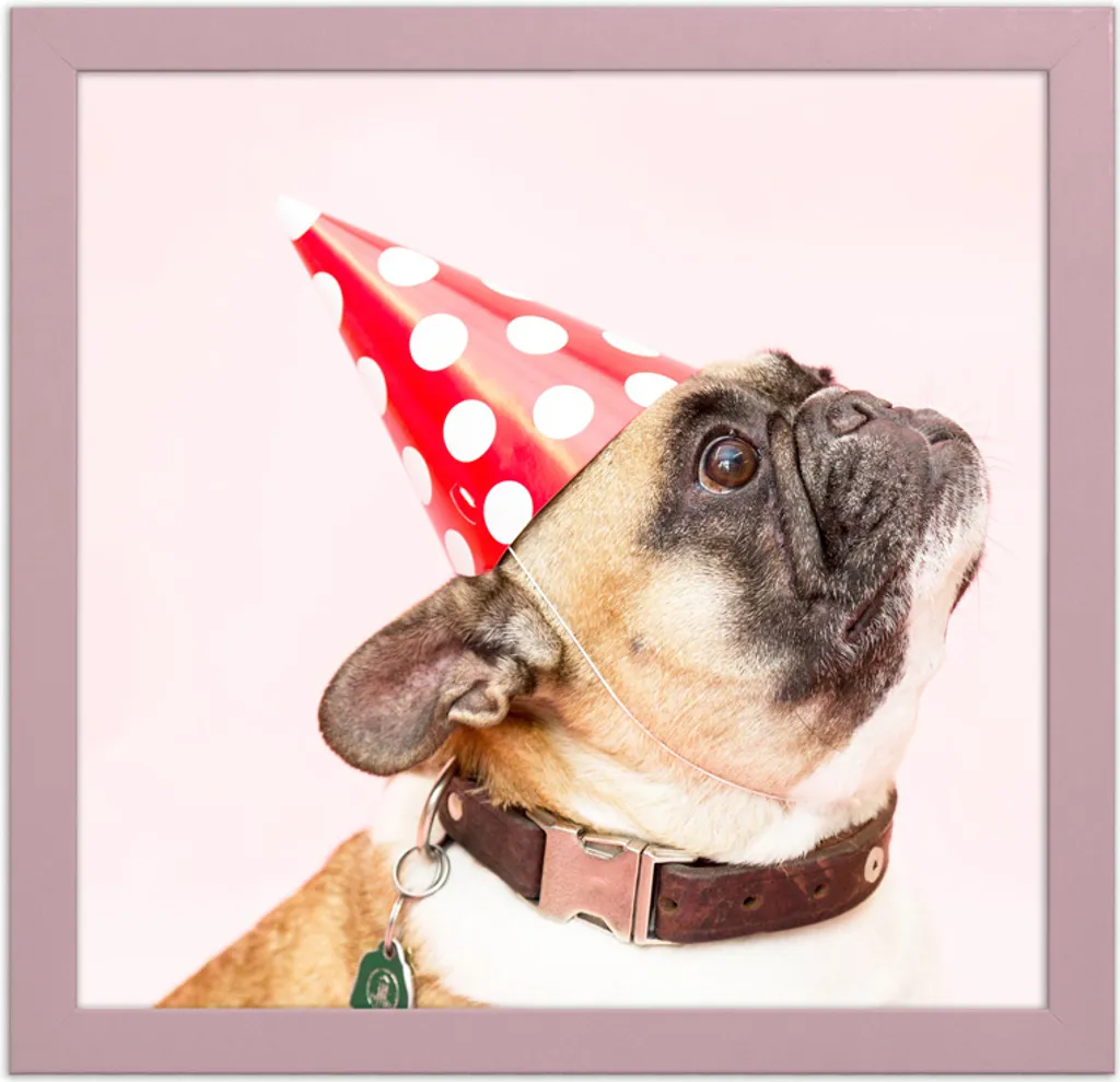 Multirama Praga - Rosa cipria - 2