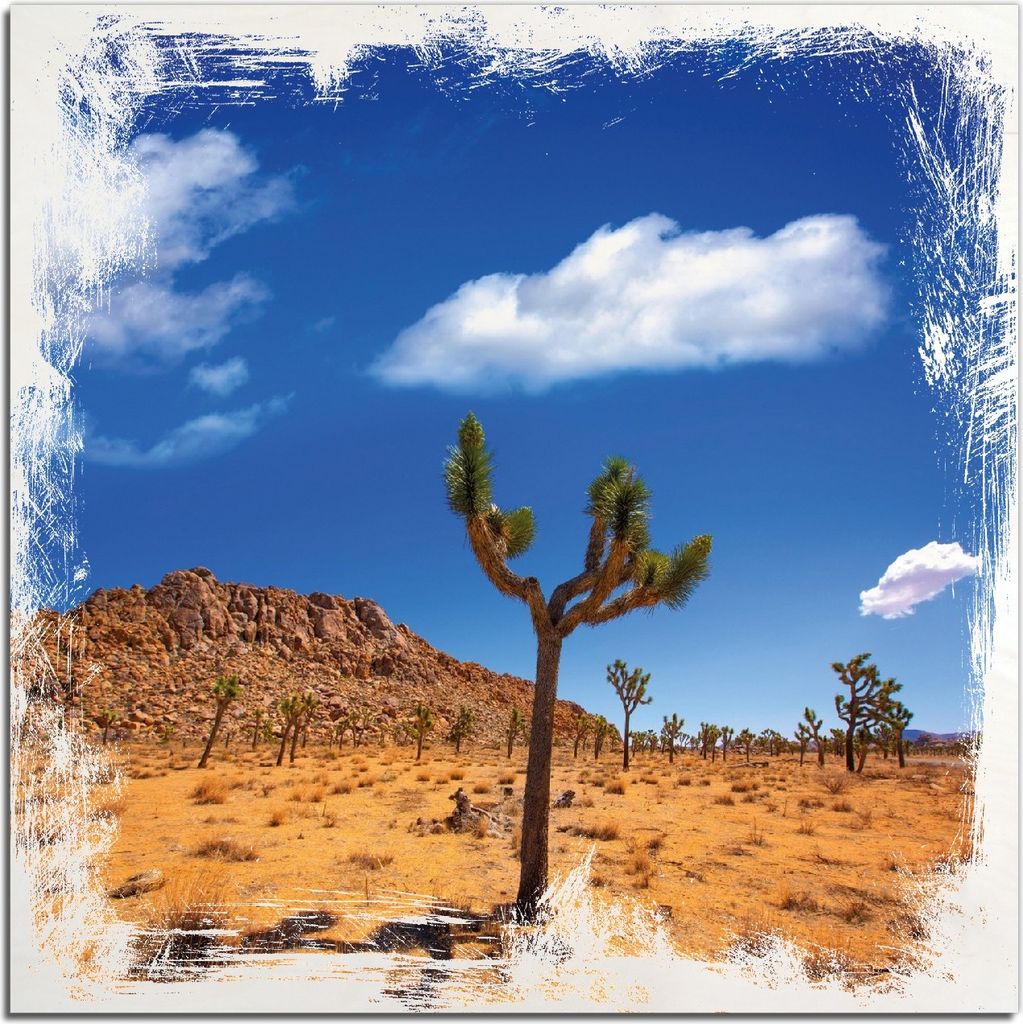 Kunstdrucke Wandbilder Holz in : Brillante Farben, Größe 50 x 50 cm Motiv Palmlilie im Nationalpark Yucca Valley Wüstenlandschaft