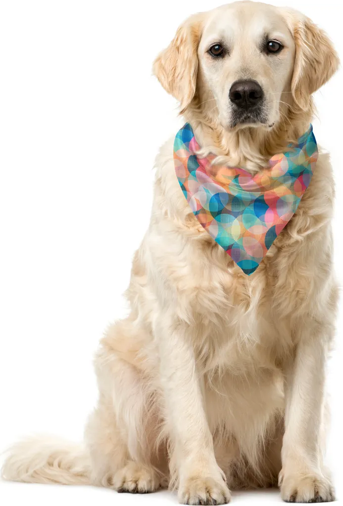 Bandana Pet Boho Arcobaleno ABAKUHAUS - 40x40cm Multicolor per Foto Social