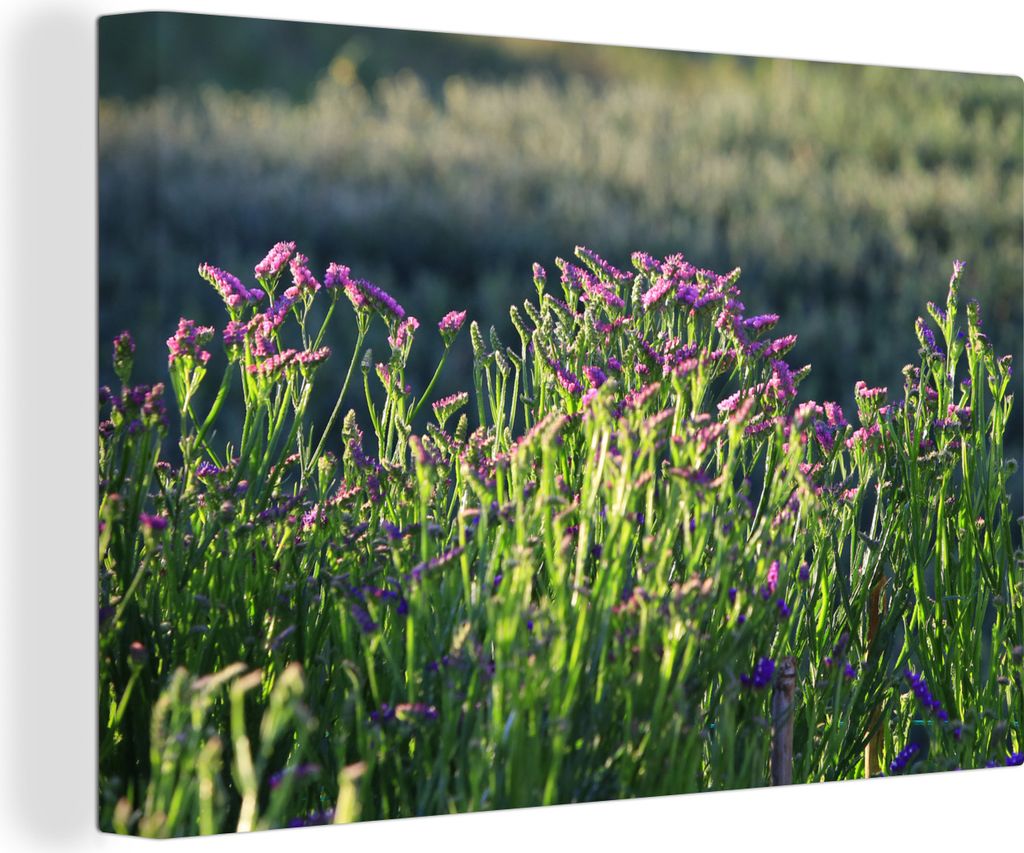 OneMillionCanvasses - Leinwandbilder - 140x90 cm, Die Statice-Blume in der Natur, Wandbilder Kunstdruck Wanddekoration - Foto auf Leinwand - Gem...
