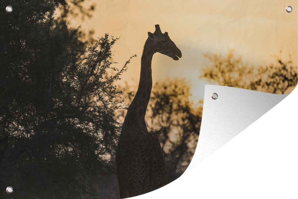 MuchoWow 120x80 cm Outdoor-Poster Gartendeko Sichtschutz Garten Poster für den Garten Giraffe im Zakouma-Nationalpark