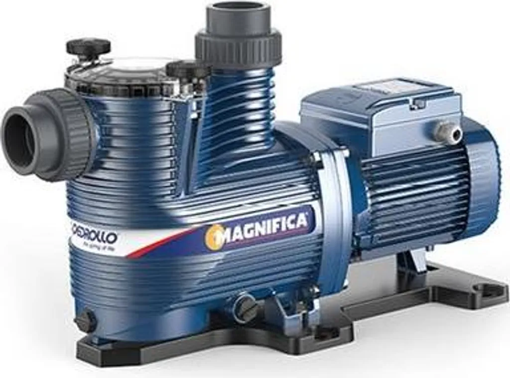 Circulateur Triphasé Pedrollo Magnifica 2 pour Filtration de Grande Piscine