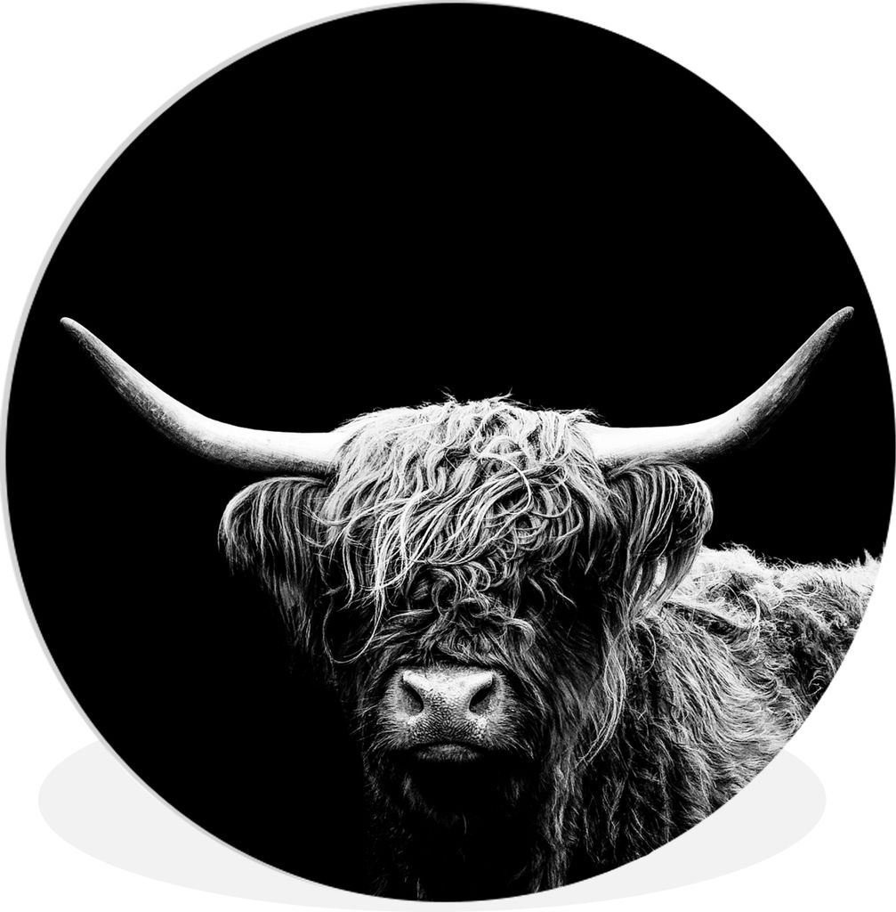 MuchoWow Rundes Wandbild - Runde Bilder Schottischer Highlander - Kuh - Schwarz - Weiß - Tiere Ø 30 cm Kreis Wanddekoration Kunststoff - Wandkr...