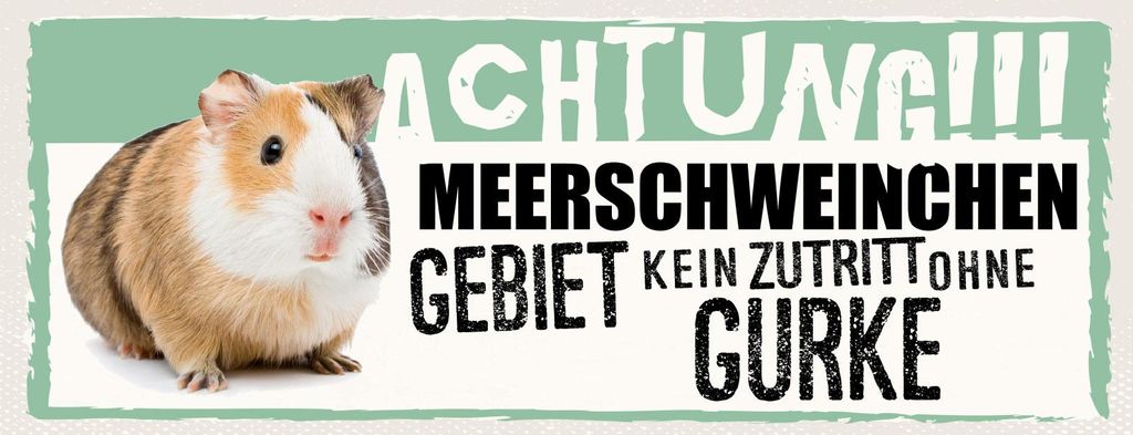 vianmo Blechschild 10x27 cm Achtung Meerschweinchen Kein Zutritt ohne Gurke