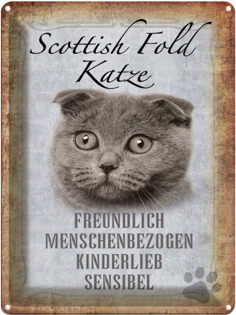 vianmo Blechschild 40x30 cm Scottish Fold Katze