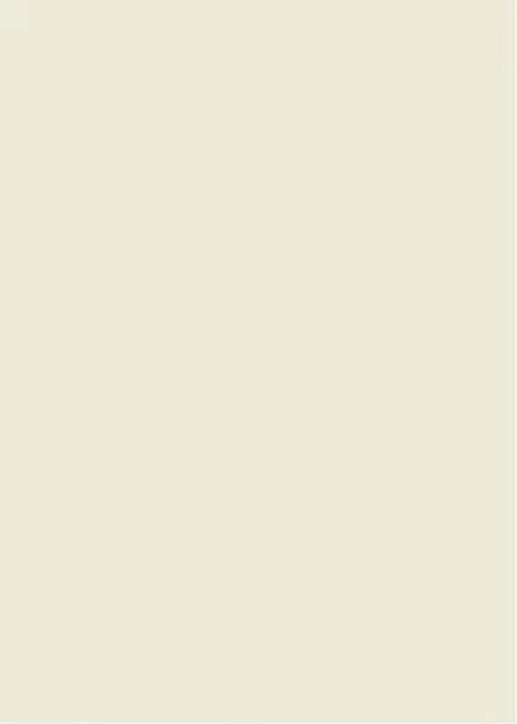 Papier Cartonné Vanille 270g Format B2 - Support pour Loisirs Créatifs