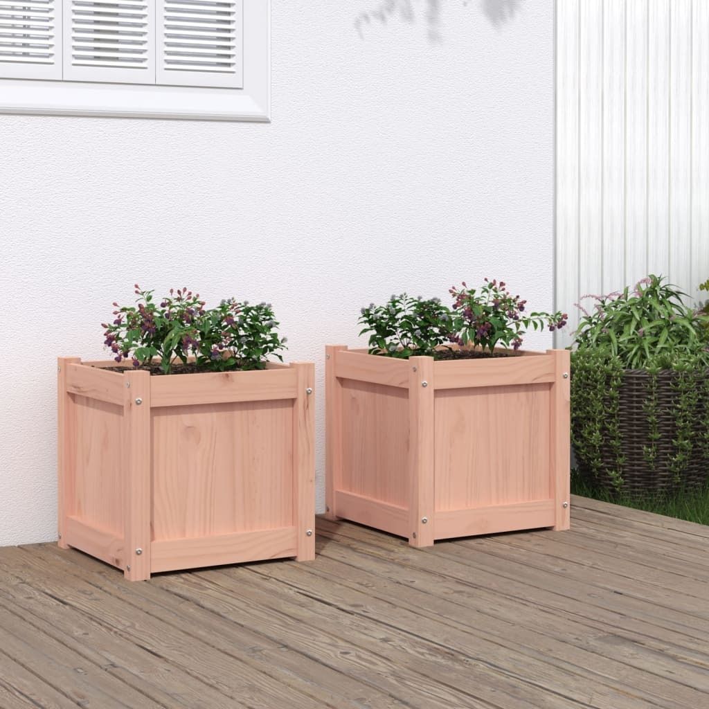 Cloris Designermöbel Pflanzkübel 2er Set Massivholz Douglasie 2024 Neu