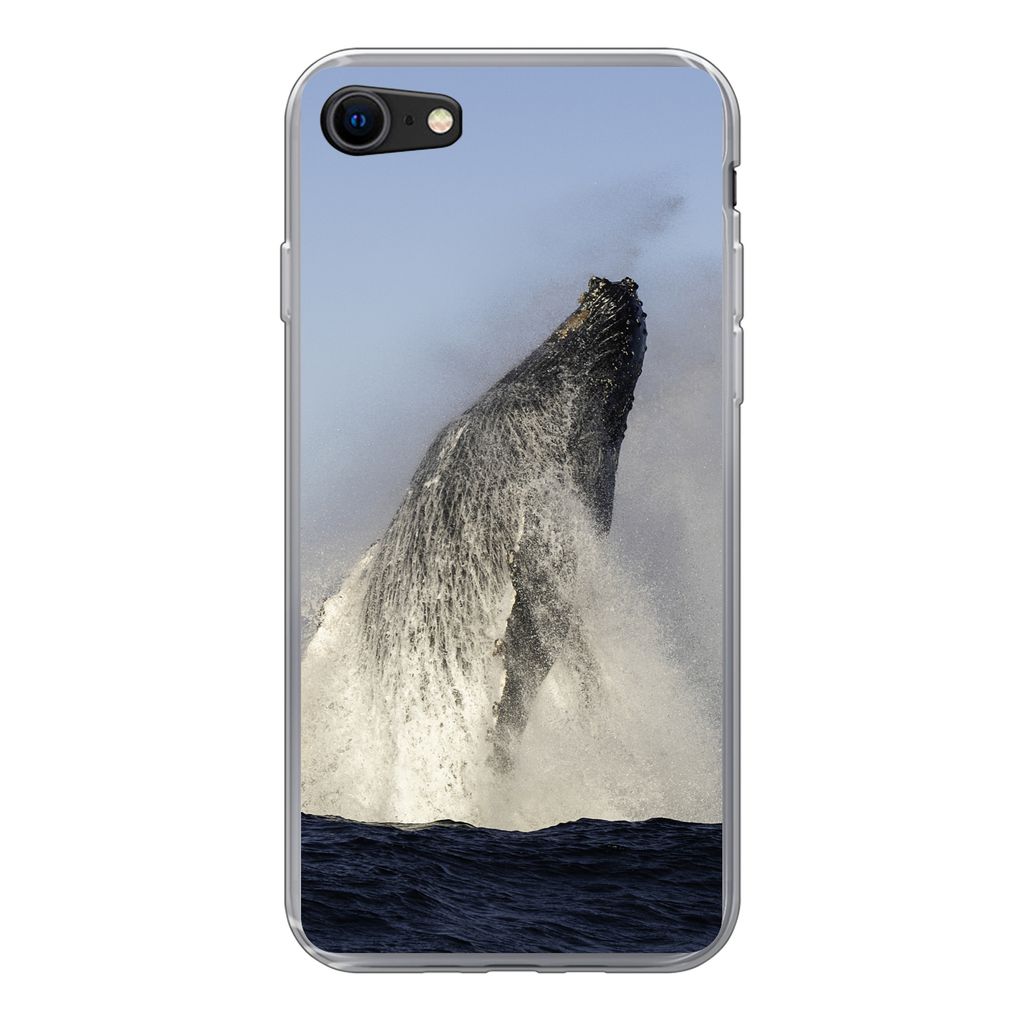 MuchoWow Handyhülle Schutzhülle Hülle für iPhone 8 Wal - Wasser - Südafrika Silikon Softcase Handy Hülle - Schutzhaube