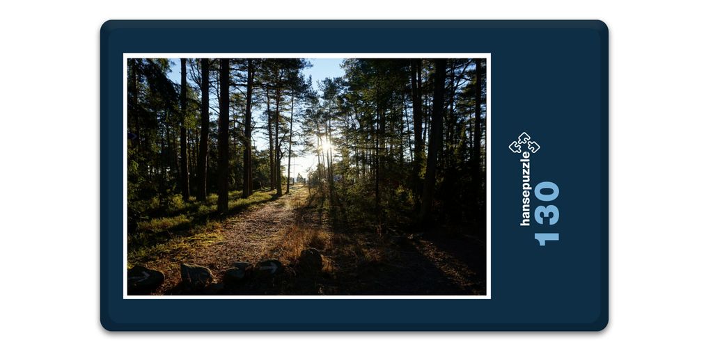 hansepuzzle 18387 - Wald Puzzle, 130 Teile, Natur, 28,7 x 20,0cm mit hochwertiger Aufbewahrung, Kartonbox und wiederverschließbarem Beutel