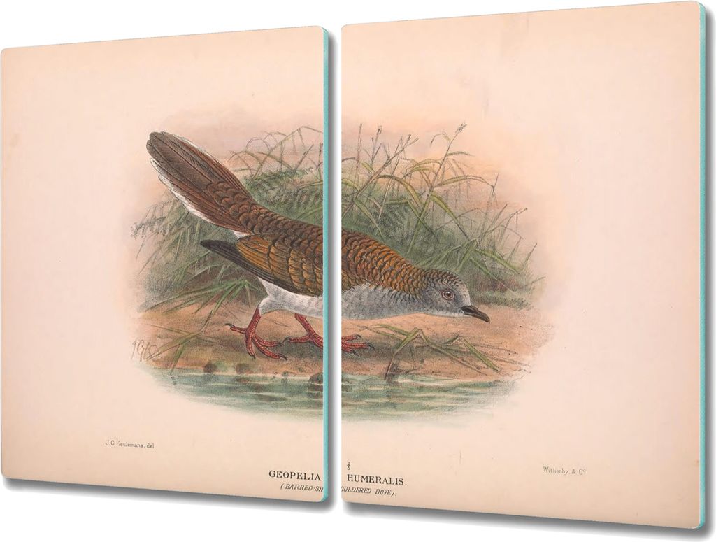 Coloray Hackbrett Küchenbrett Kochplattenabdeckung Schneidebrett Herdabdeckplatte 2x40x52 cm - Vögel Tiere Zeichnung