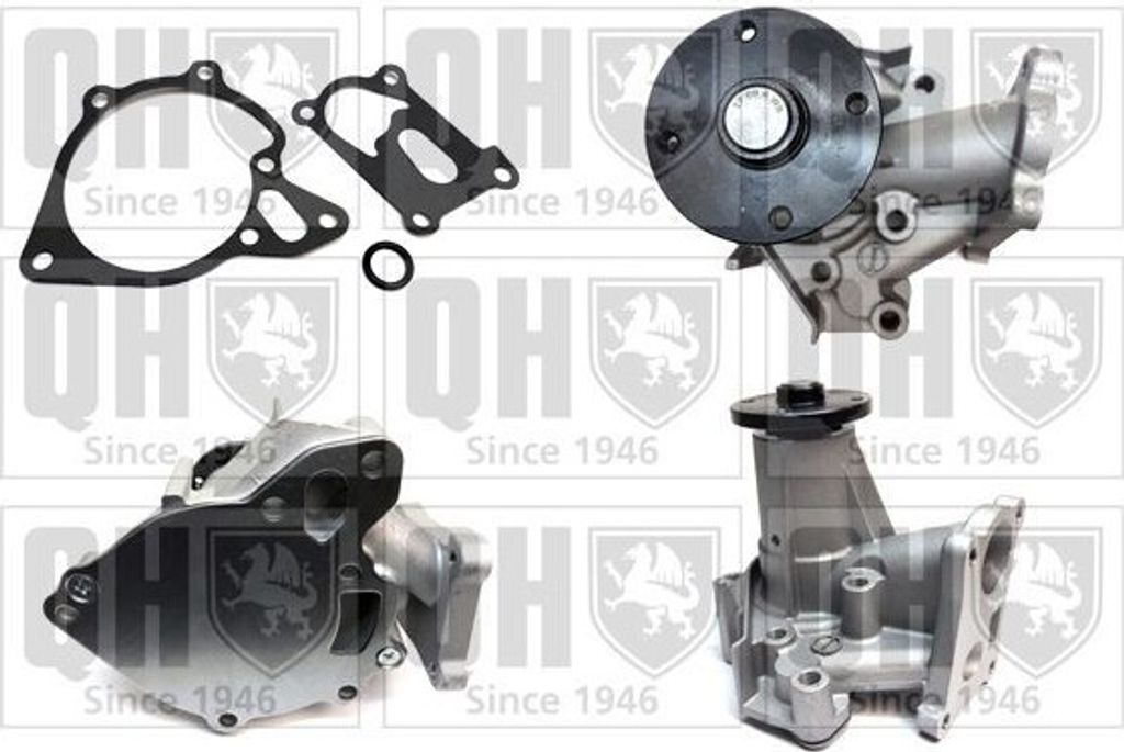 QUINTON HAZELL Kühlmittelpumpe Wasserpumpe für HYUNDAI TERRACAN (HP) QCP3272
