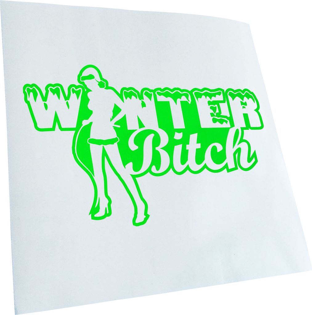 Kiwistar - Autoaufkleber - Winter Bitch Design 1 Heckscheibenaufkleber - Aufkleber für Auto Kfz Fahrrad, LKW, Truck Mofa