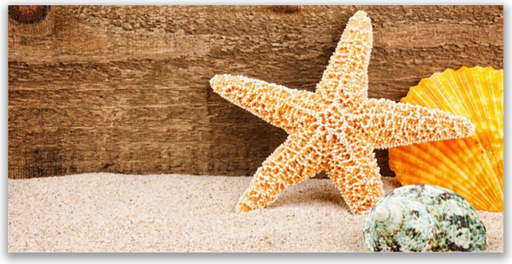 Glasbilder 120x60 Wandbild Druck auf Glas Sand Seestern Muscheln Kunst