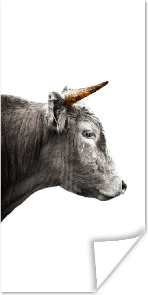 MuchoWow Poster Schottischer Highlander - Horn - Gold 75x150 cm - Dekoration für die Wände