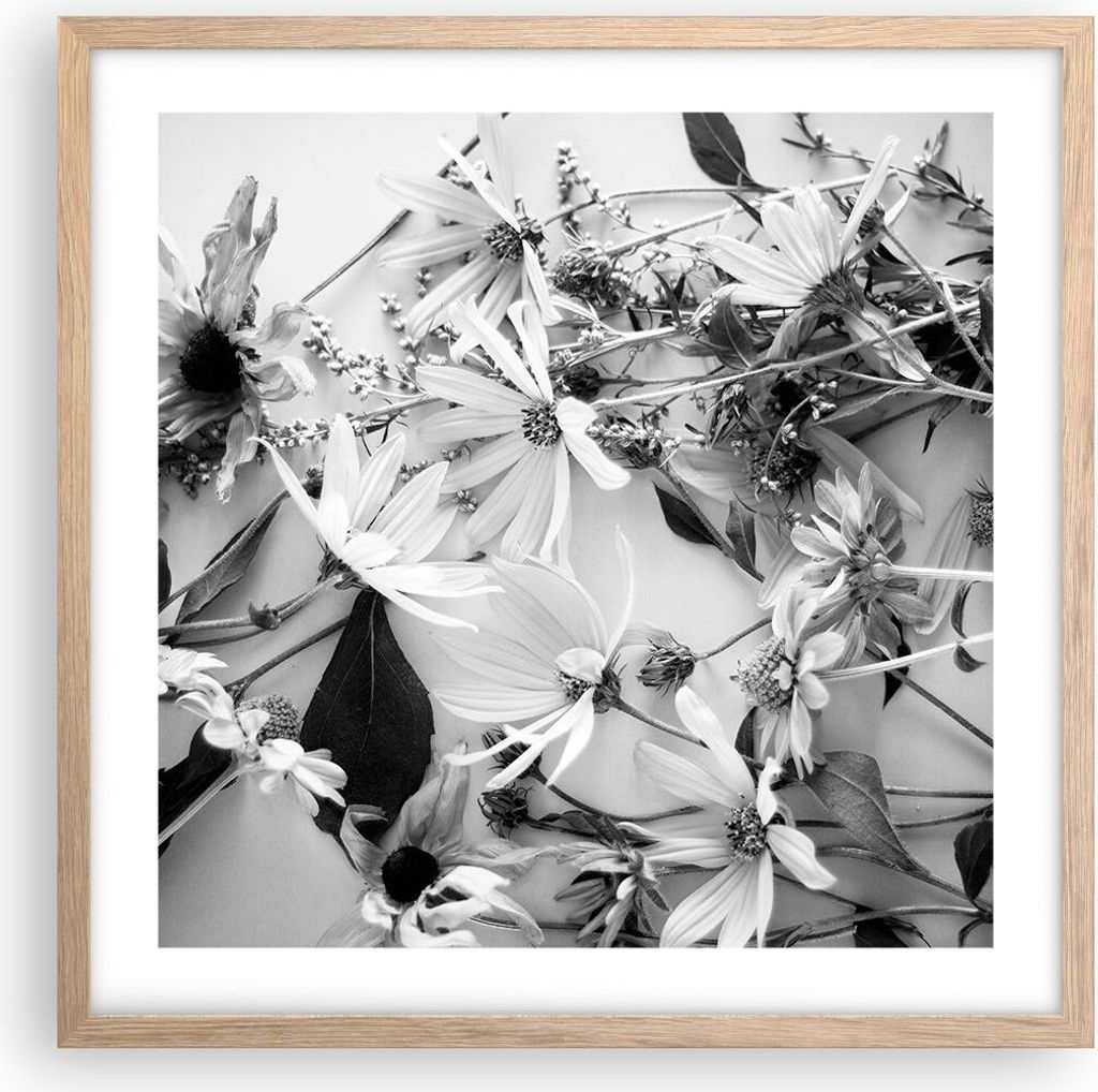 Gerahmtes Poster - Rahmen in heller Eiche - Blumen Schwarzweiß Fotografie - 50x50 cm - Wand Bild - Wanddeko - Wandbilder - Kunstposter - Wandposte...