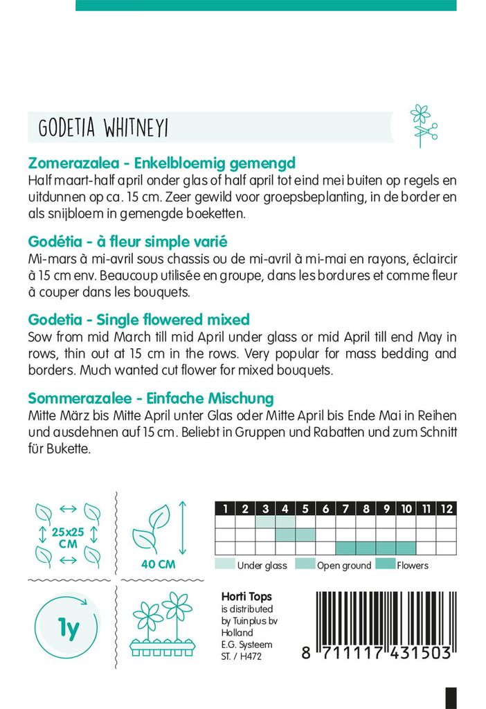 Sommerazalee Halbhohe Mischung | Azaleensamen von Hortitops